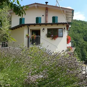 Solo Per Quattro Zocca